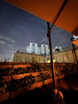 Cozy rooftop terrace with plants and city skyline view at dusk.