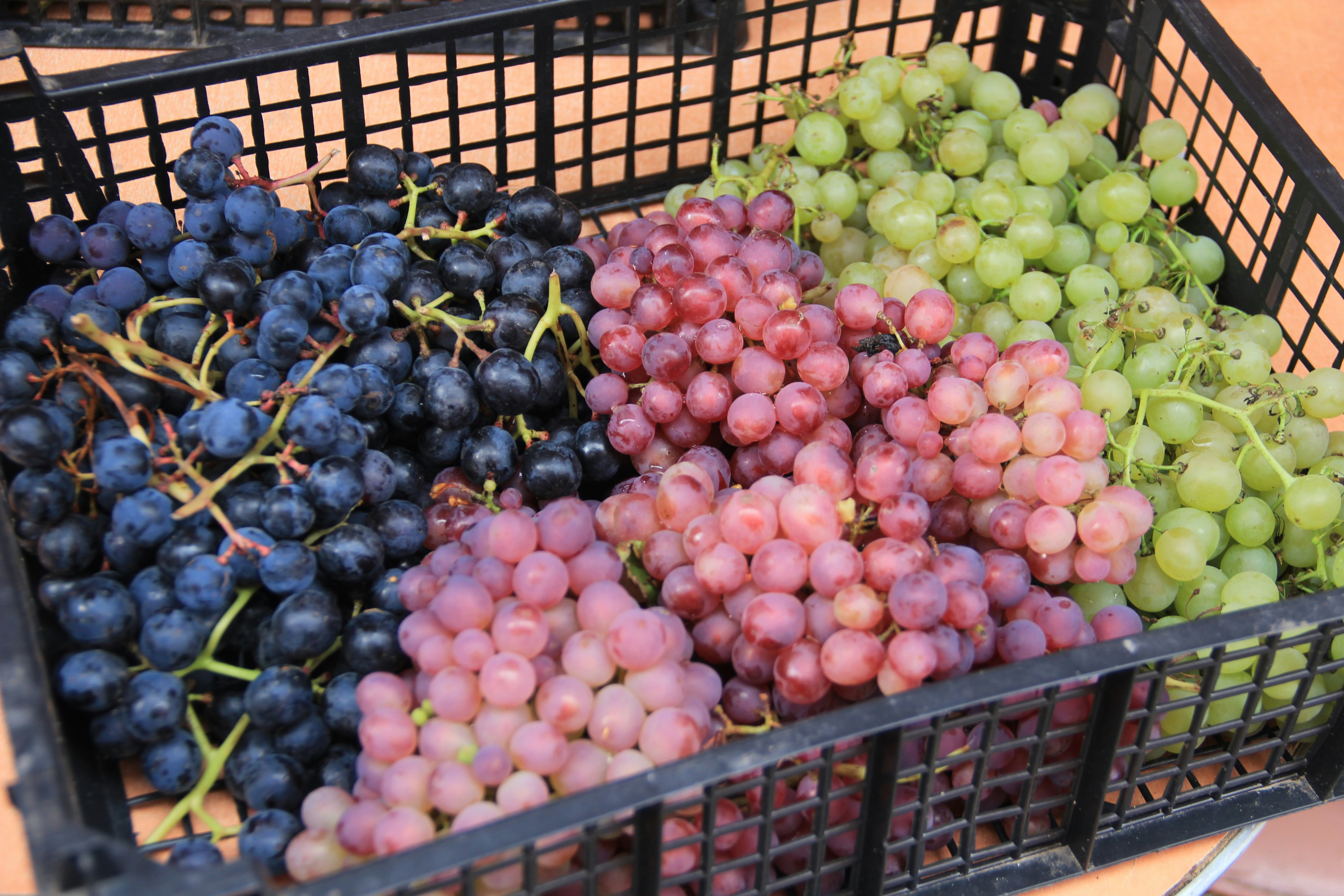 a basket filled with lots of grapes on top of a table