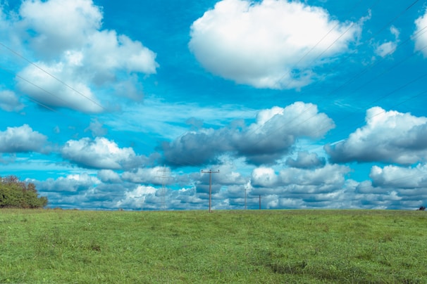 A wide view of spacious grassy lots with utility poles and street lighting visible in the background