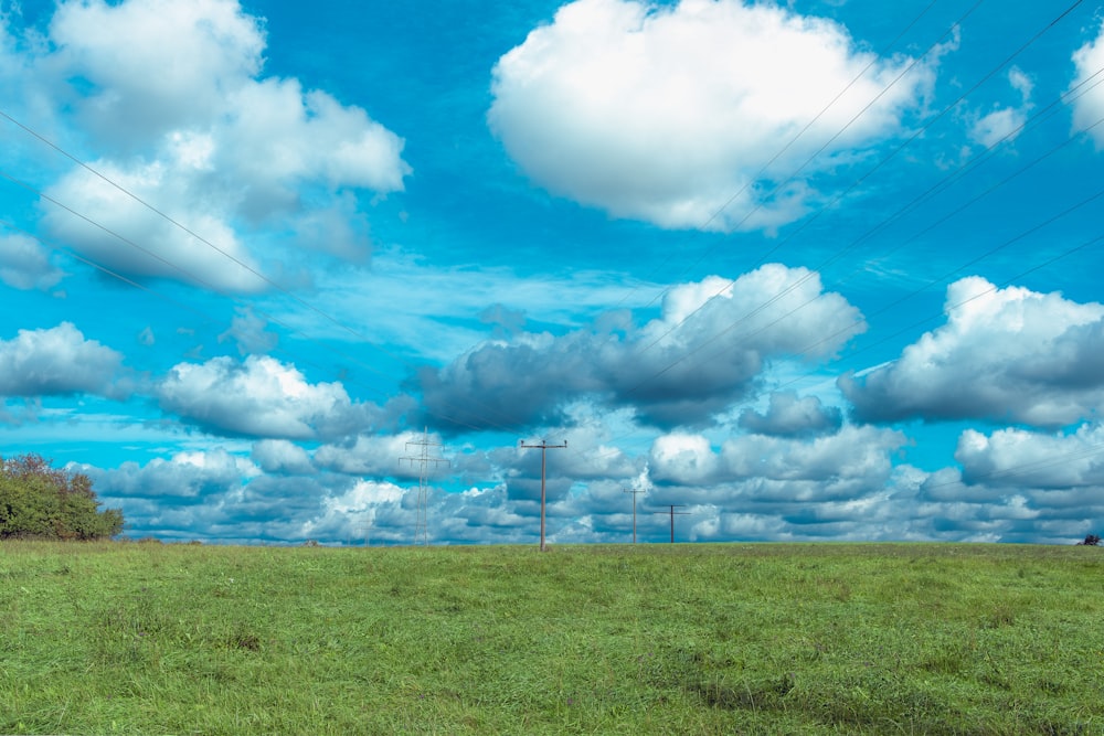 a grassy field with power lines in the distance