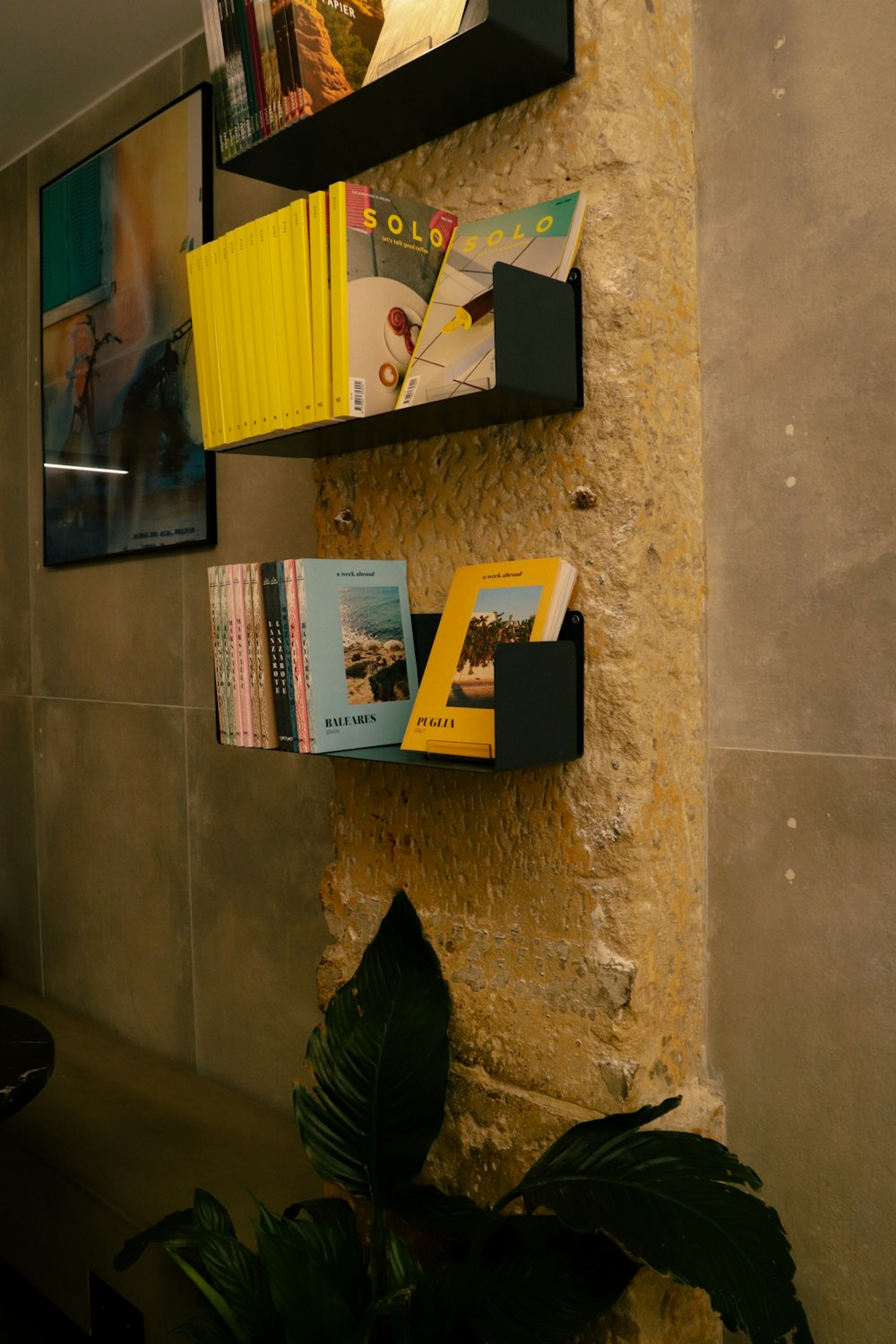 um par de livros que estão em uma parede
