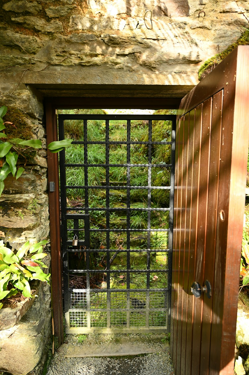 a gated entrance to a stone building with a cat in it