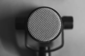 a black and white photo of a microphone