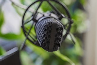 A close up of a microphone on a stand.