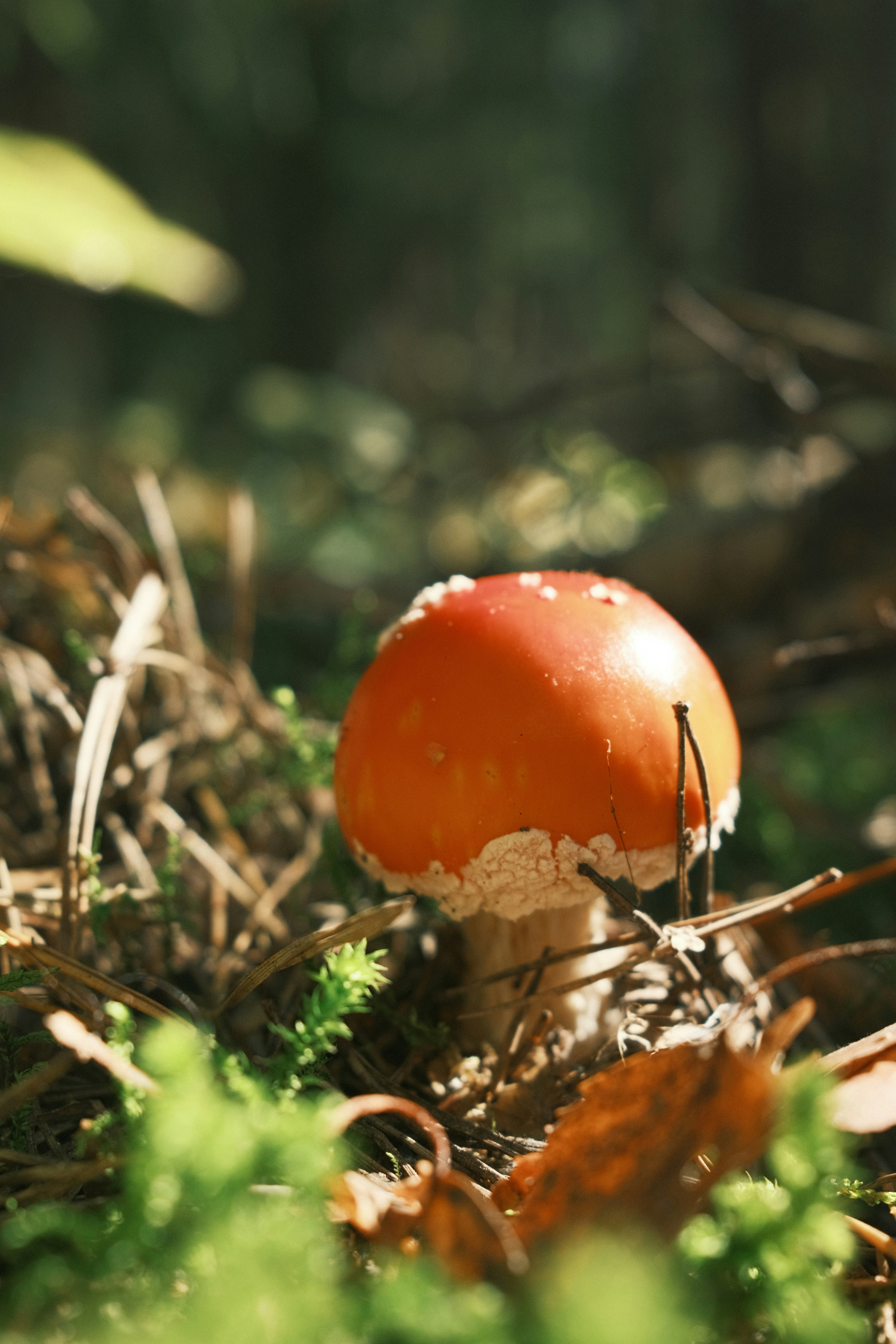 Photo by zapiatkina