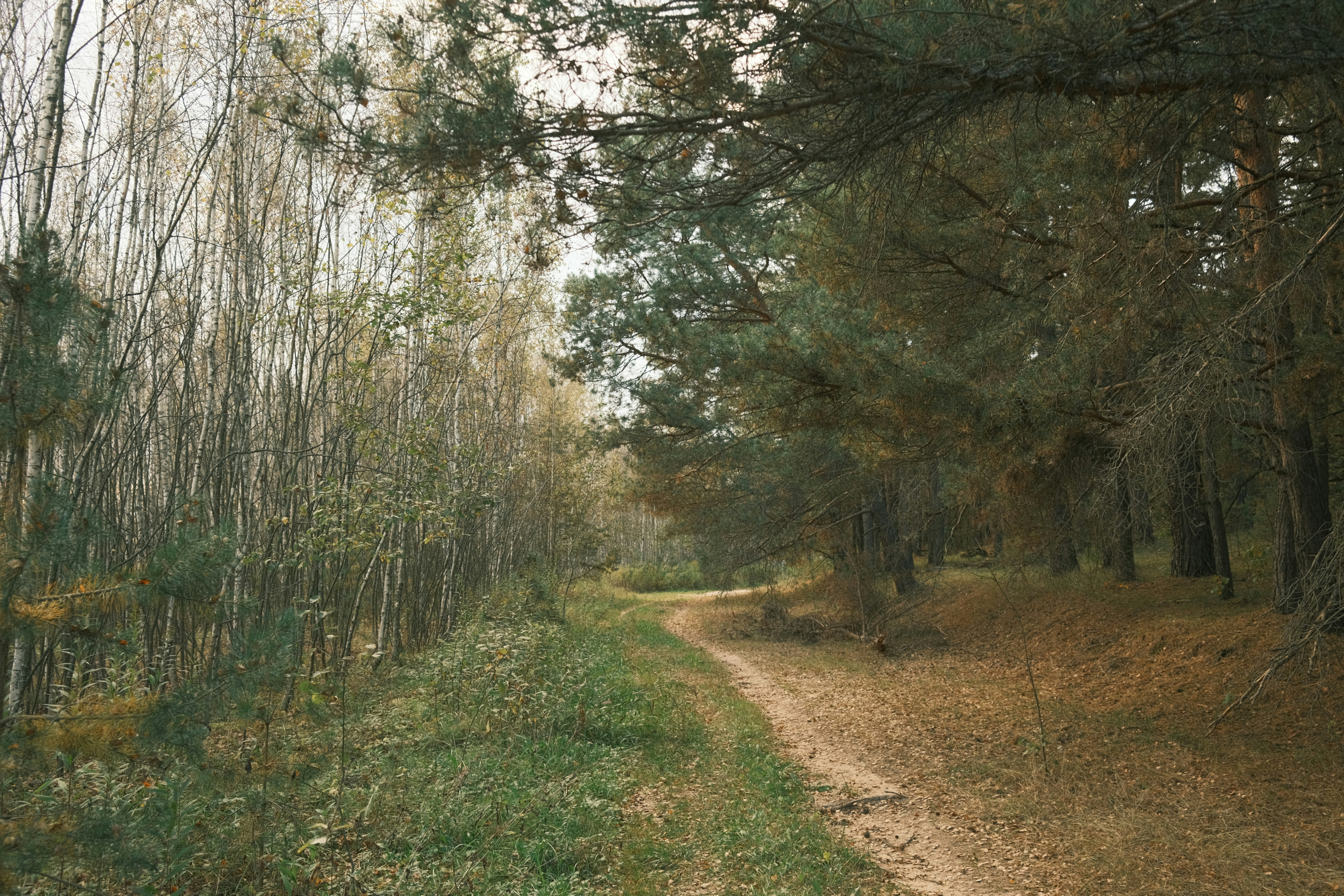 Afbeelding van Troine-Route