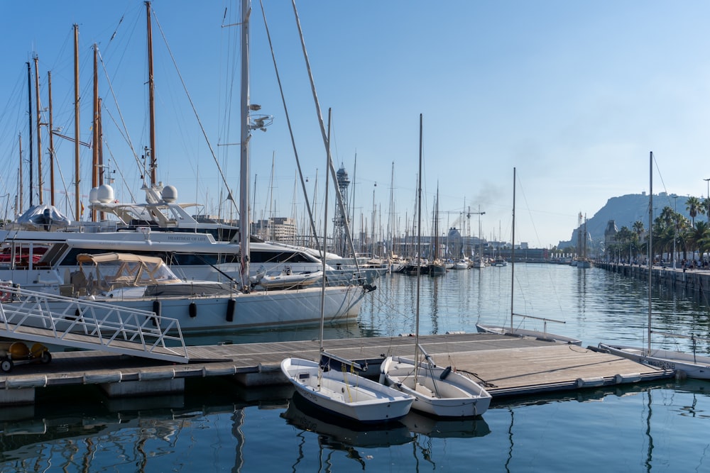 a marina filled with lots of white boats