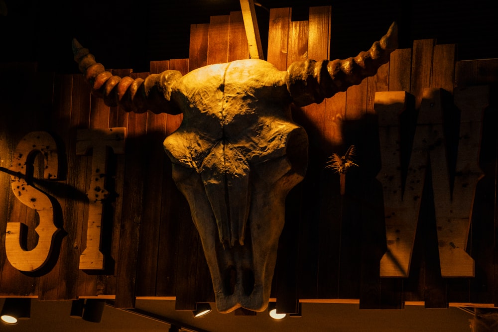 un grande teschio di toro montato sul lato di una parete di legno
