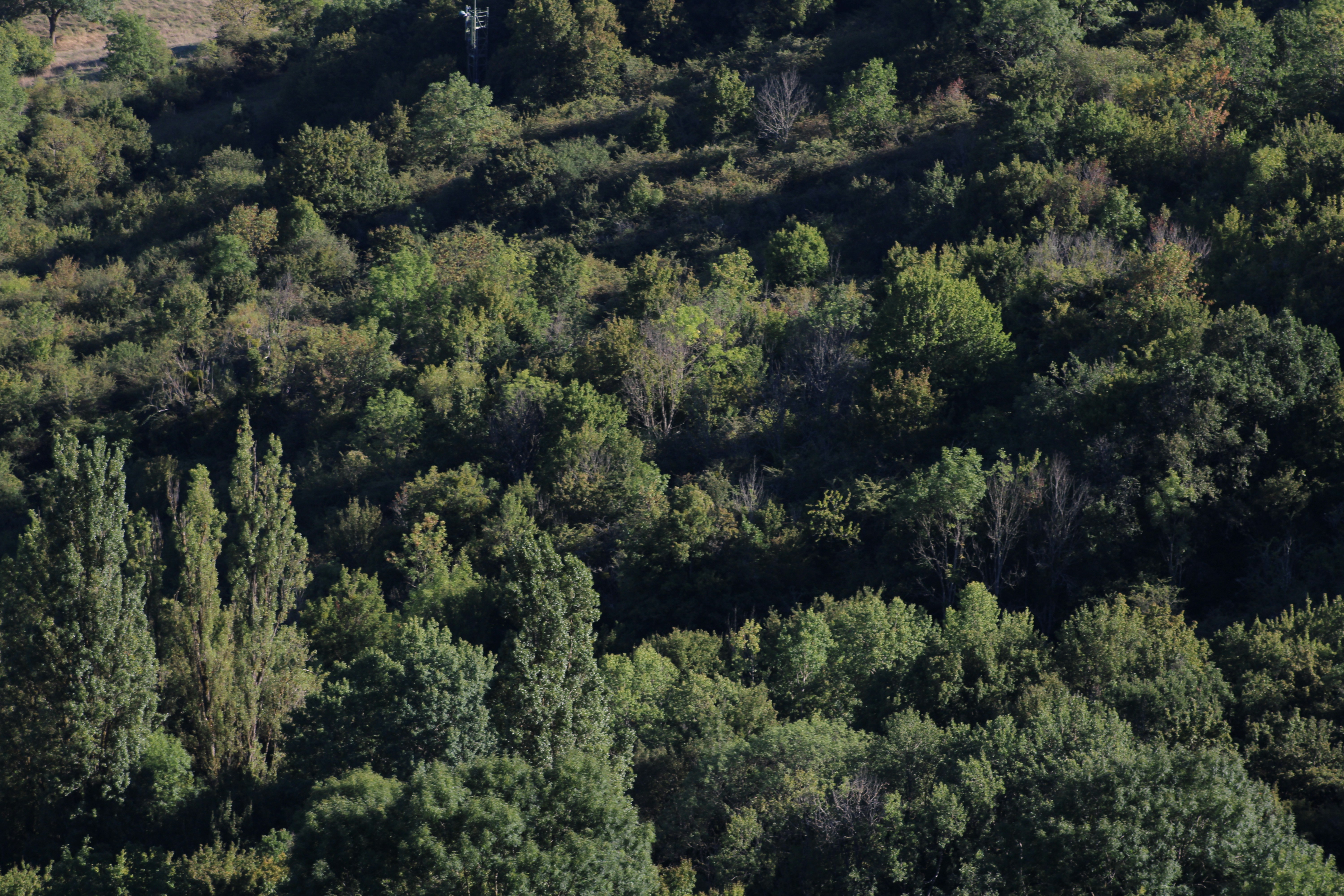 Photo by lucasarroyo