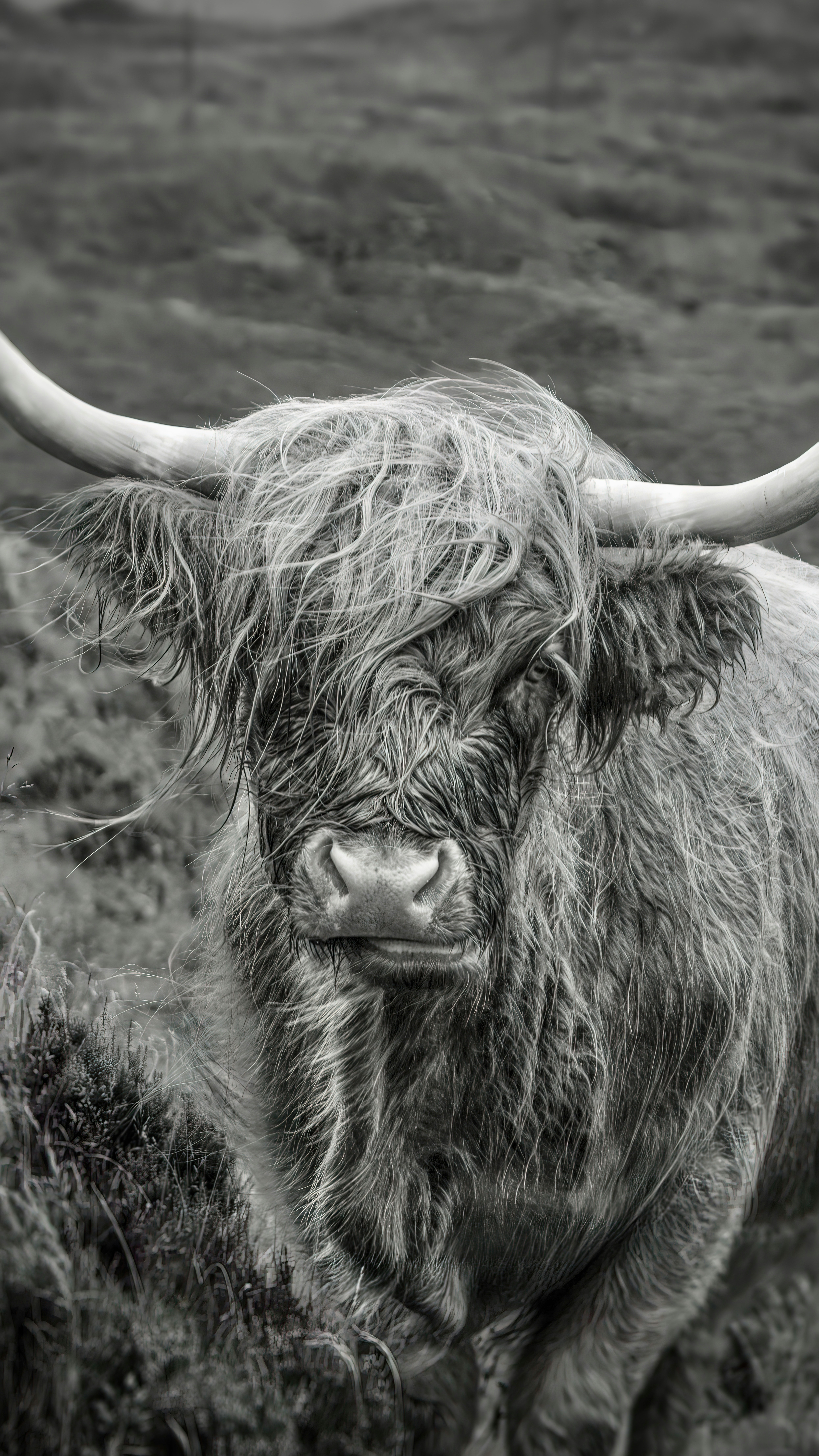 Photo by therawhunter