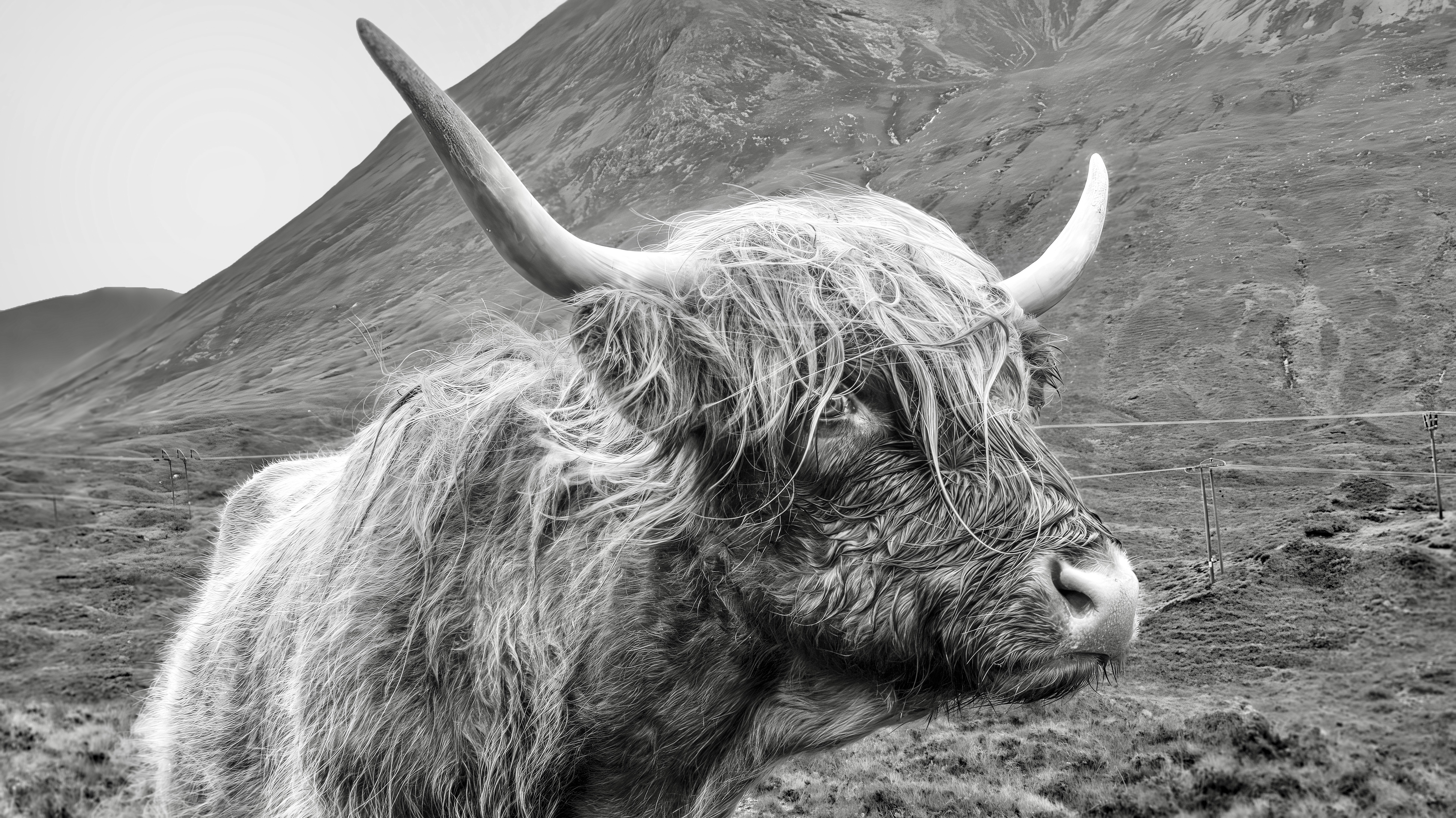 Photo by therawhunter