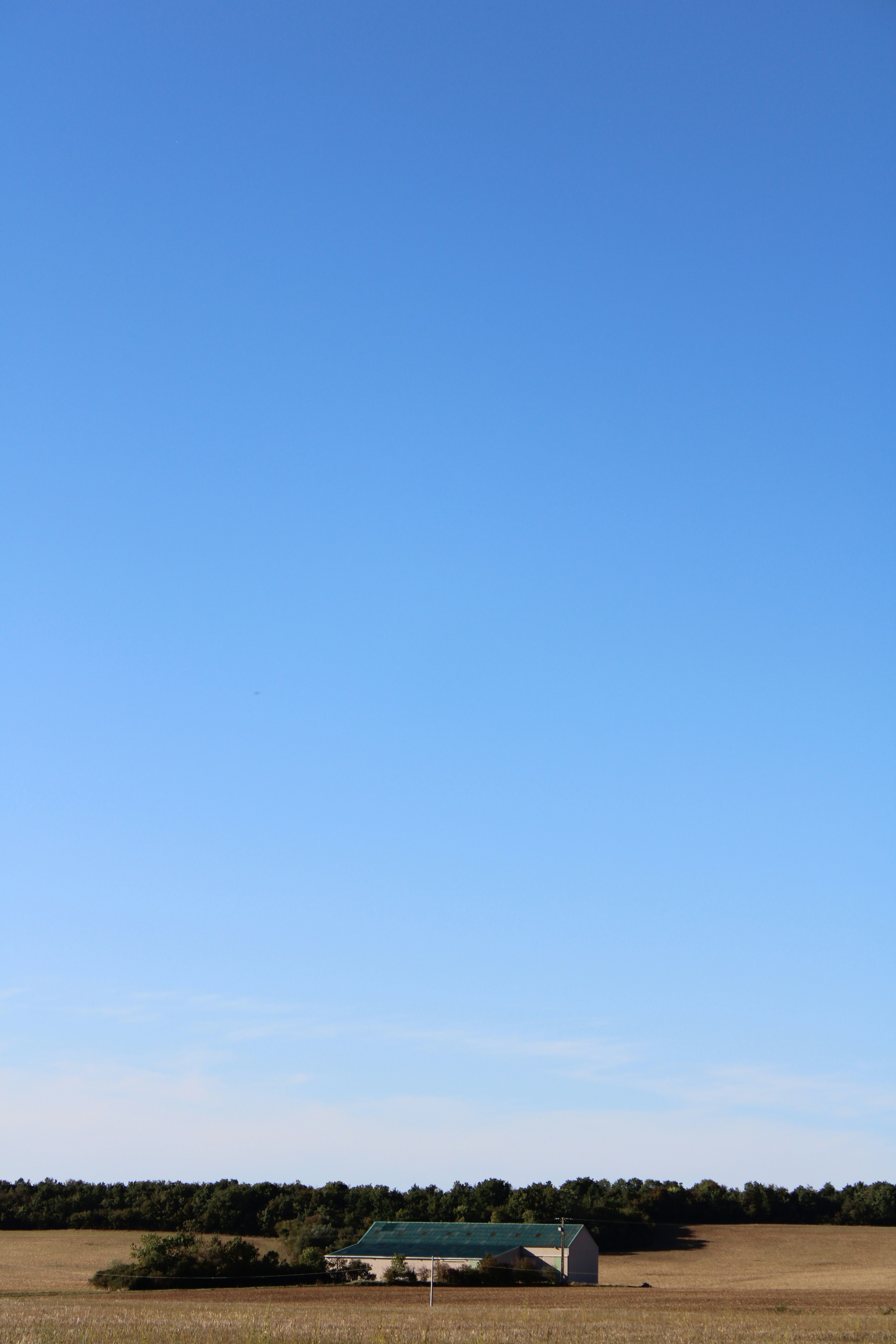 Photo by lucasarroyo