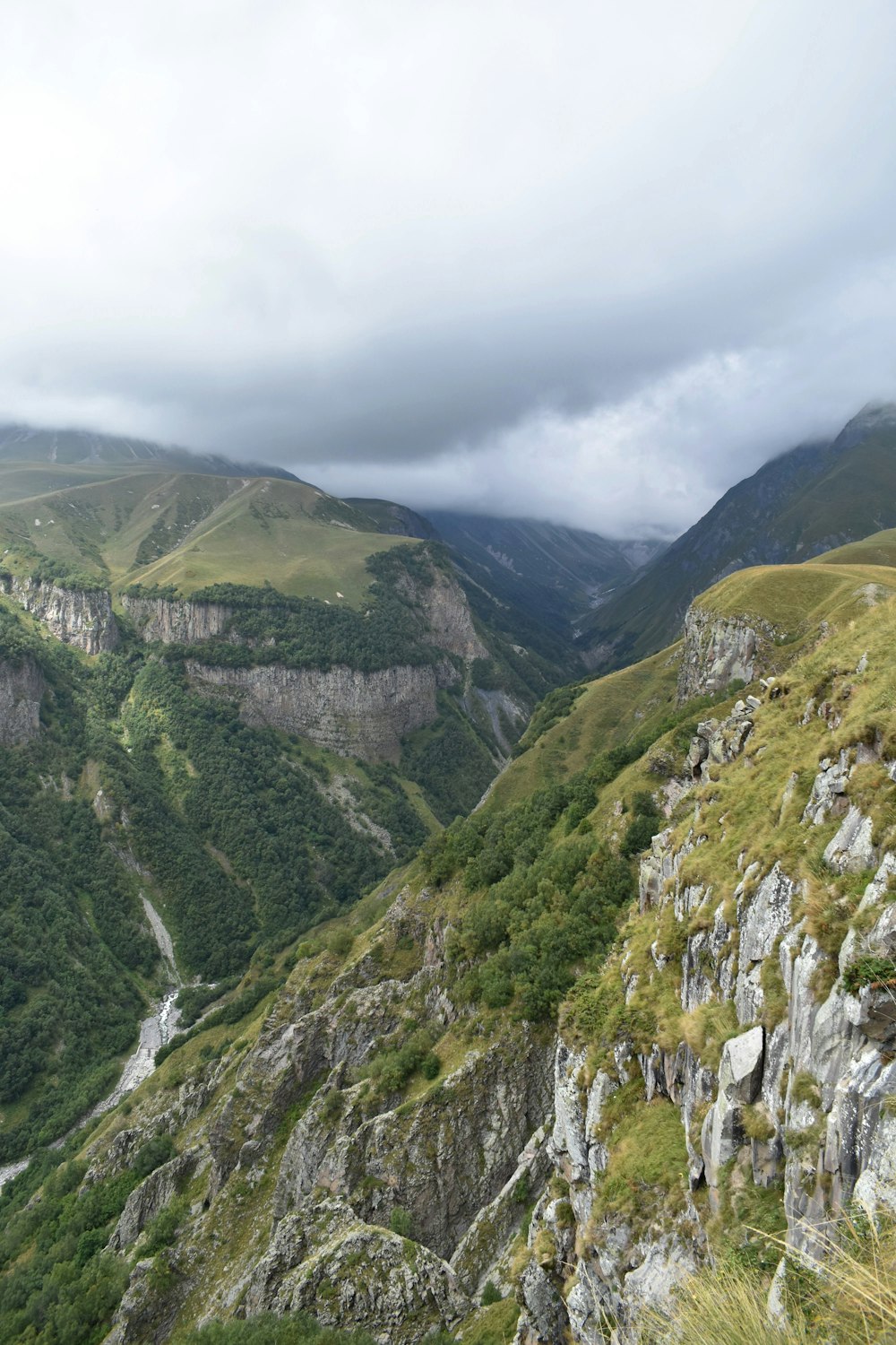 a view of a valley with mountains in the background