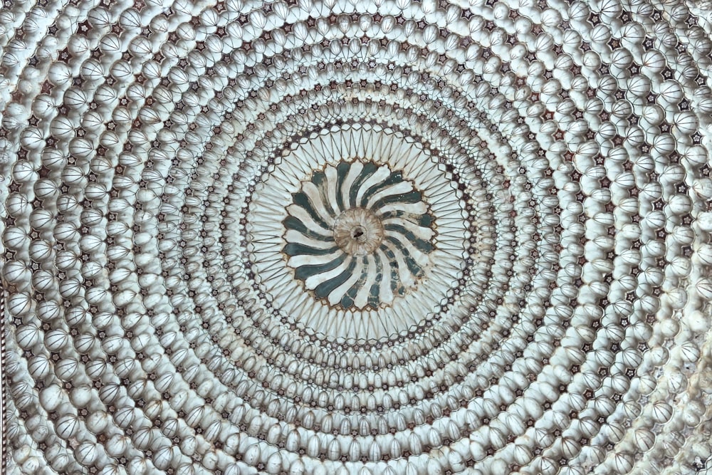 a close up of a circular object made of shells