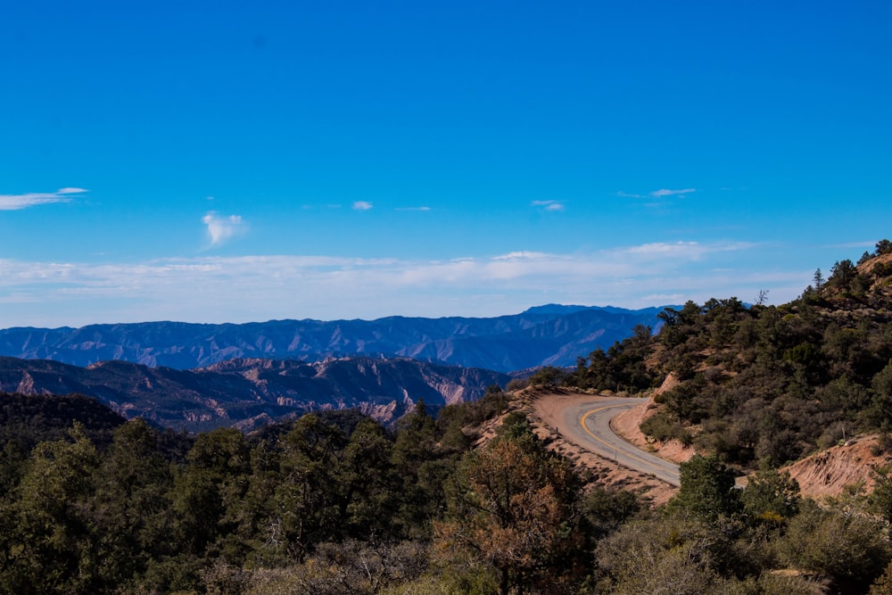 a scenic view of a road surrounded by trees