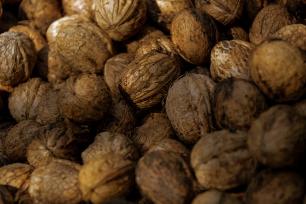 Close-up of glossy, high-quality walnuts arranged neatly in wooden crates.