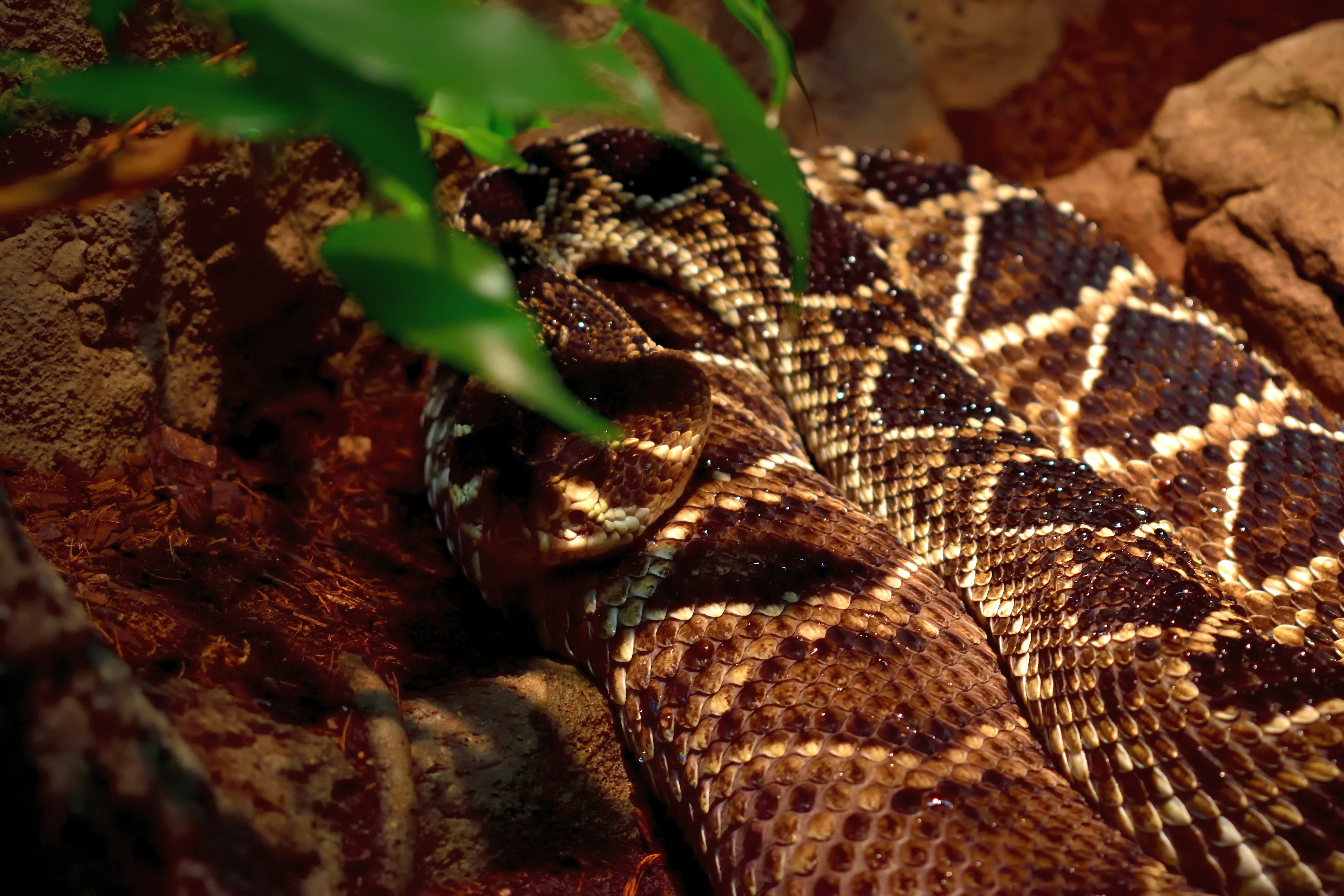 Photo by leah_stormy_storme