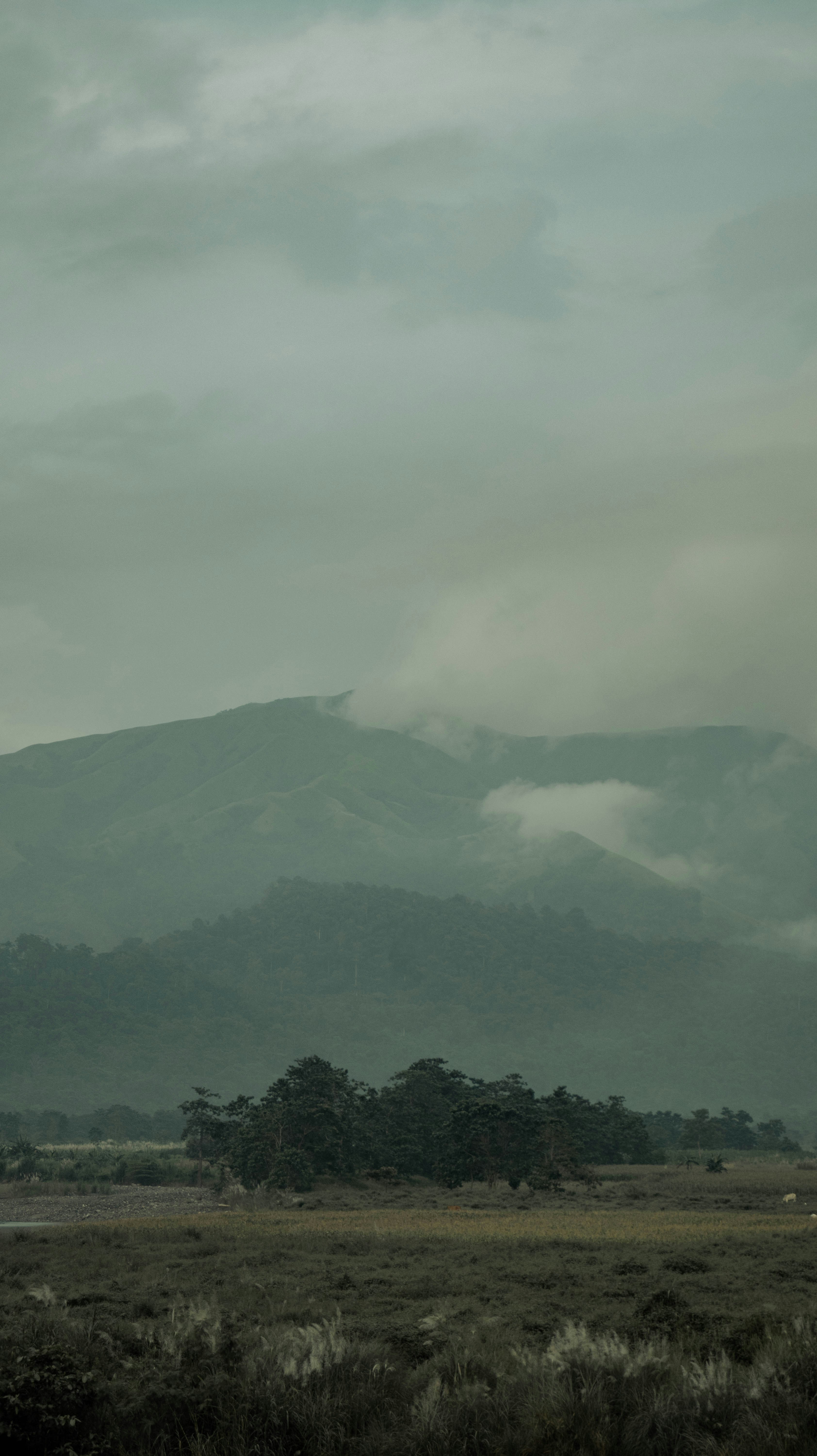 Photo by imgeraldescamos