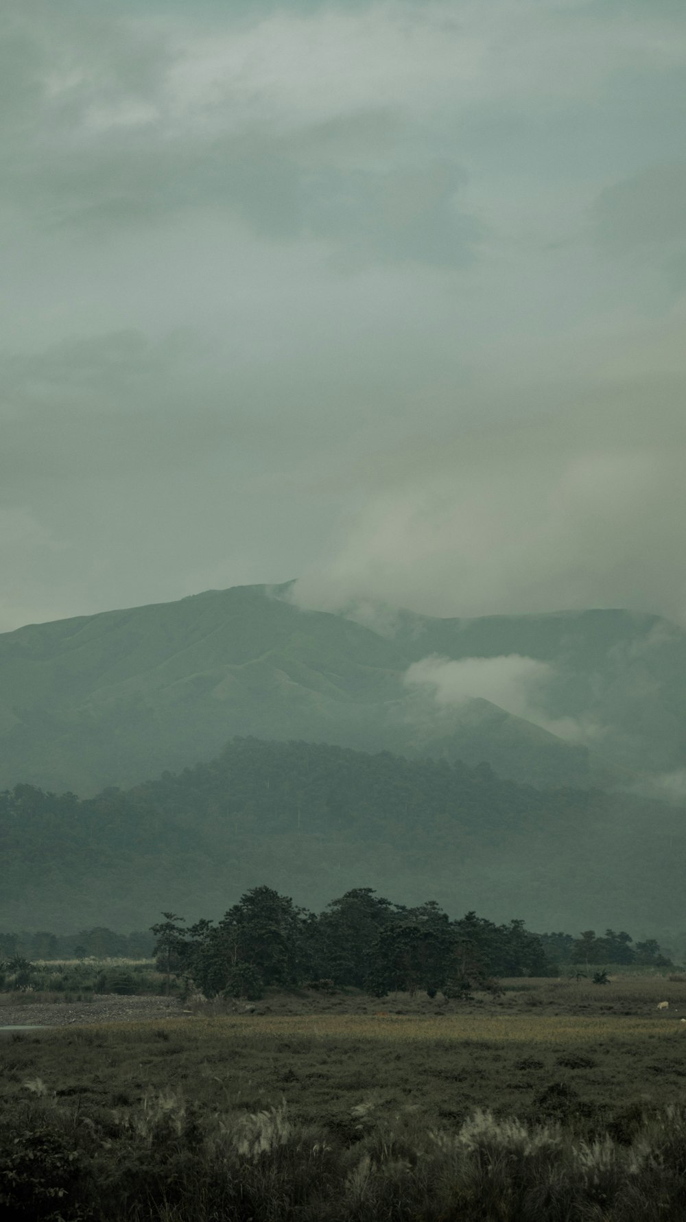 a field with a mountain in the background