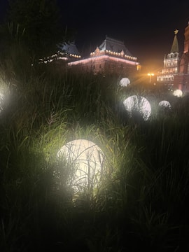 Illuminated orbs nestled in tall grass create a serene atmosphere, with architectural structures lit warmly in the background, blending nature with urban beauty.
