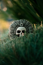 a skull sitting in the middle of some grass