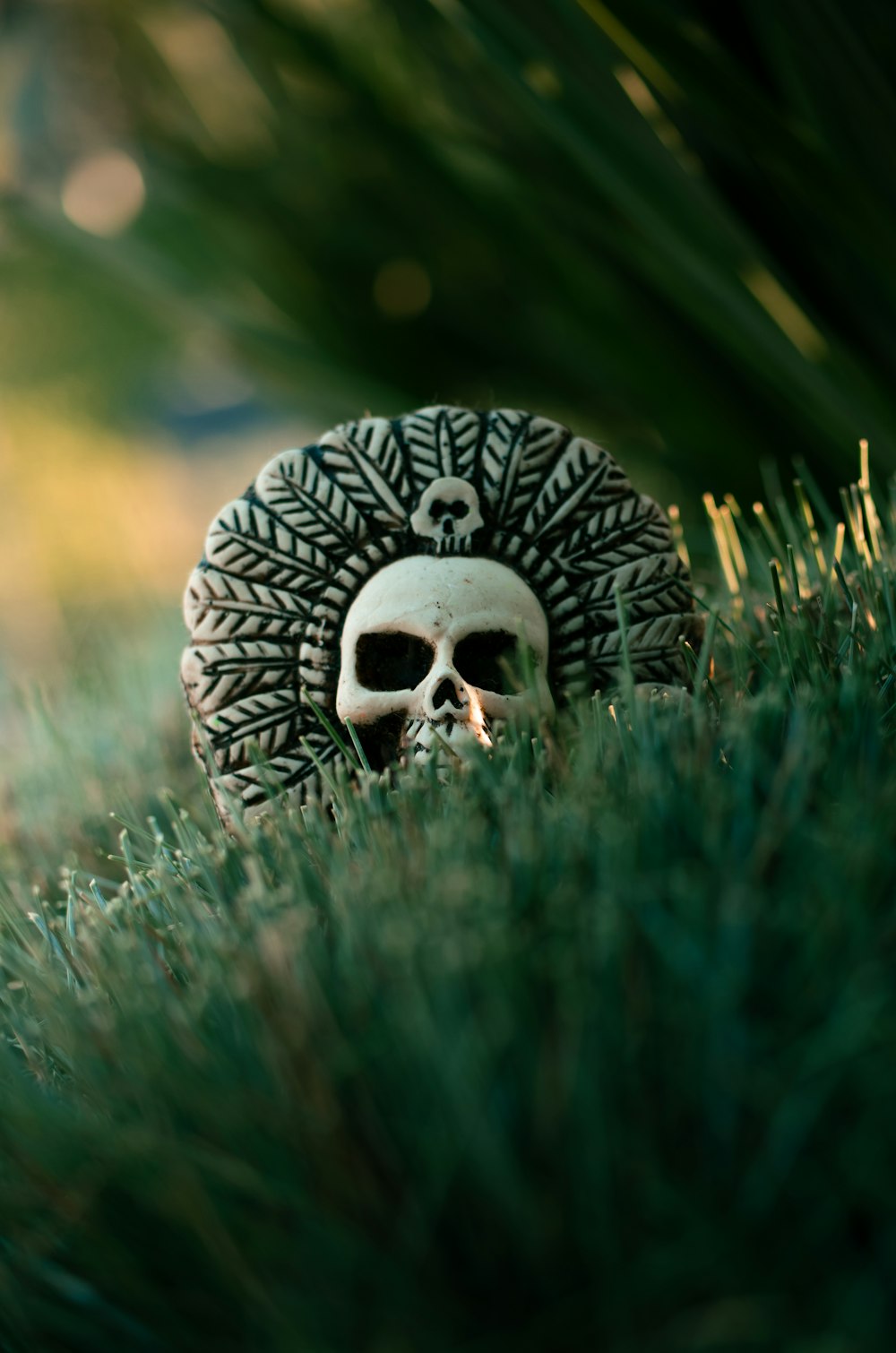 a skull sitting in the middle of some grass