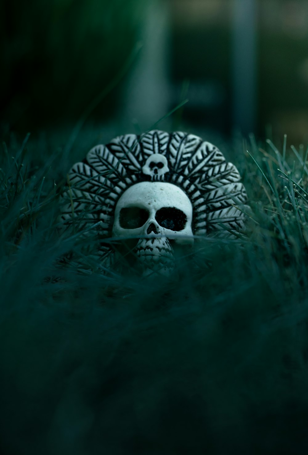 a skull sitting in the middle of a grass covered field