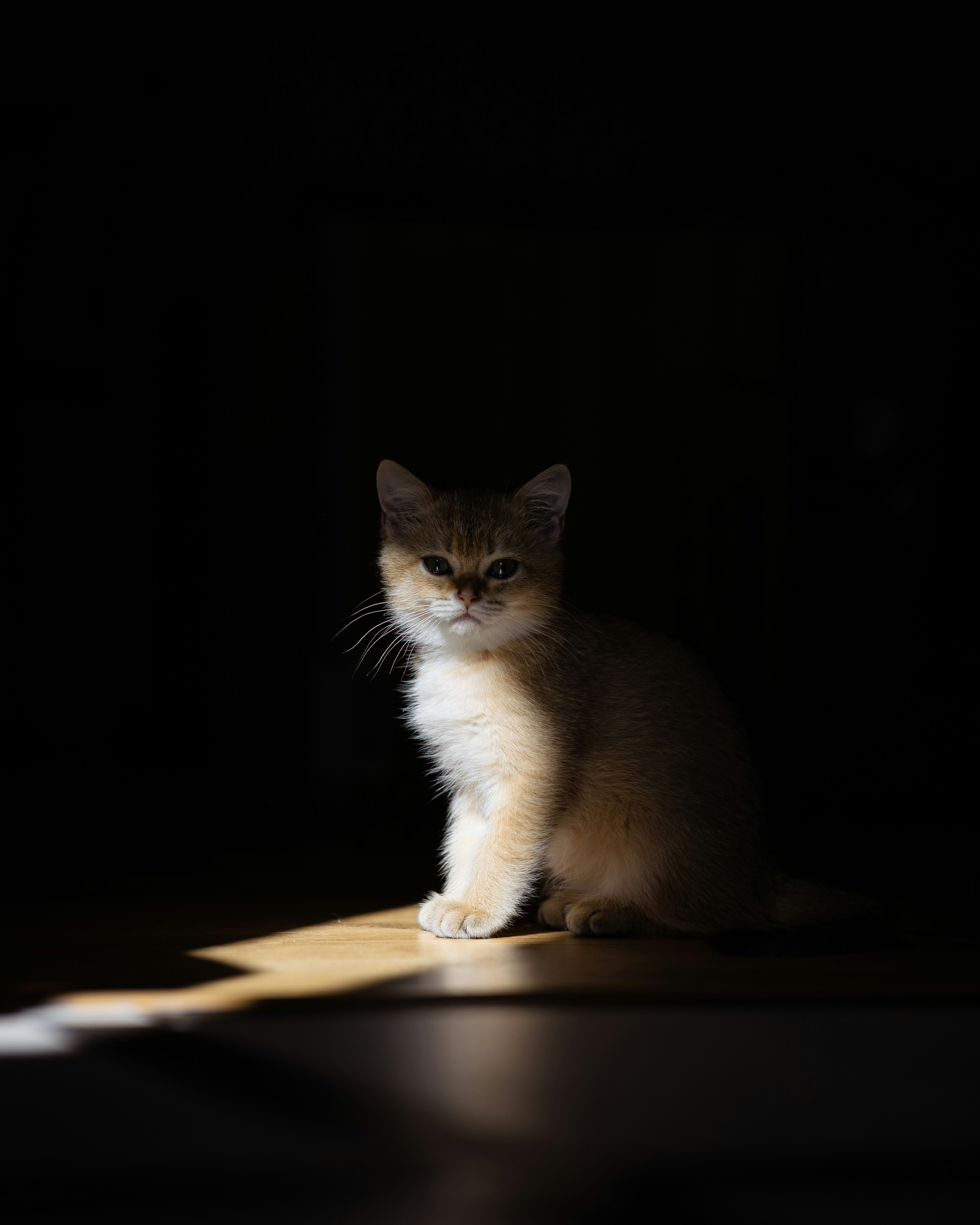 Photo by vadym_chumak