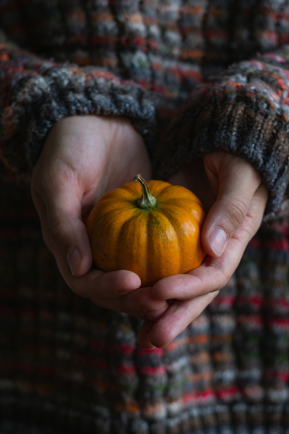 a person holding a small pumpkin in their hands