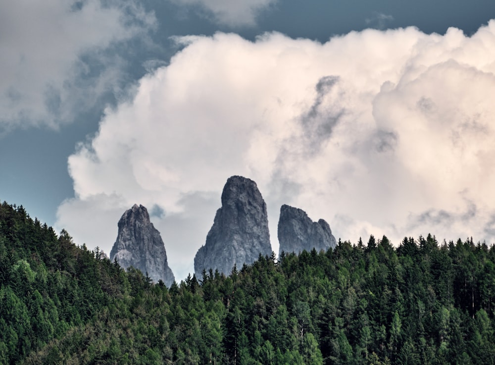 a group of mountains surrounded by trees under a cloudy sky