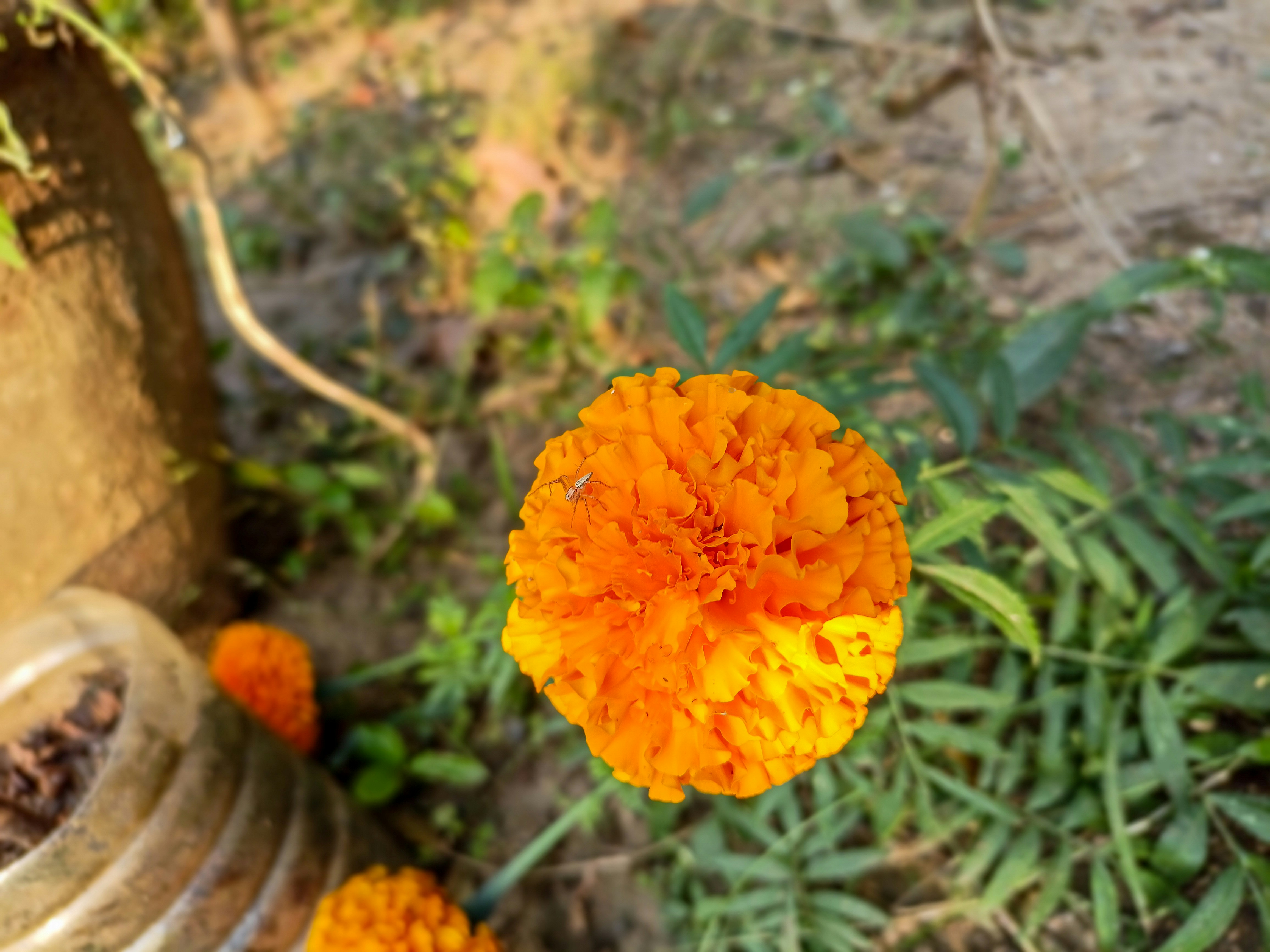 Photo by shivamphotos