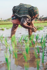 a man kneeling down in the middle of a field