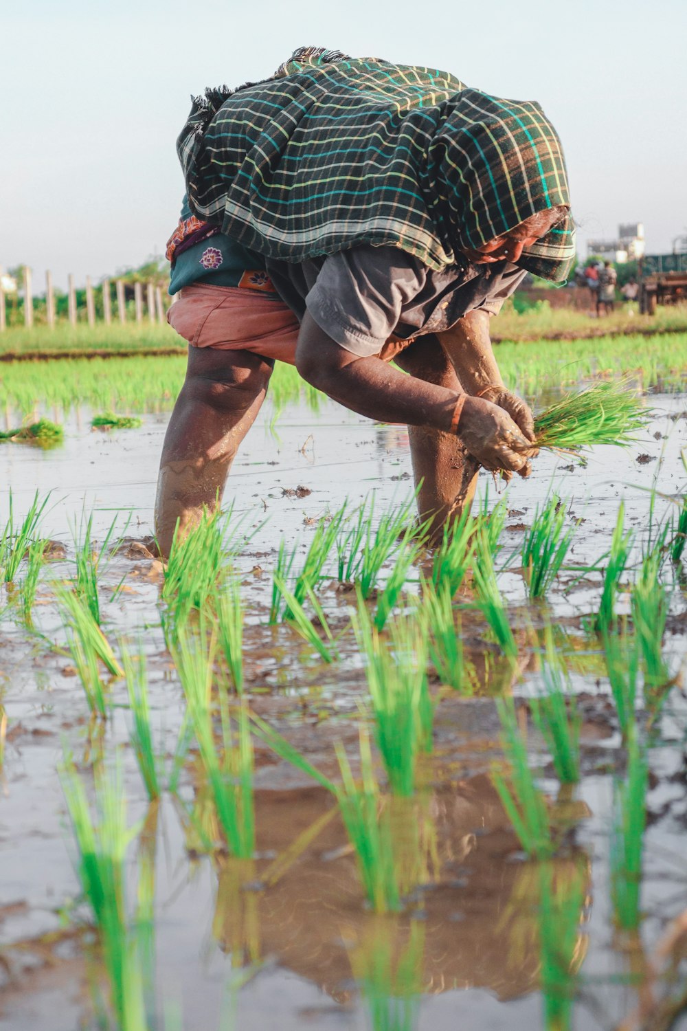 a man kneeling down in the middle of a field