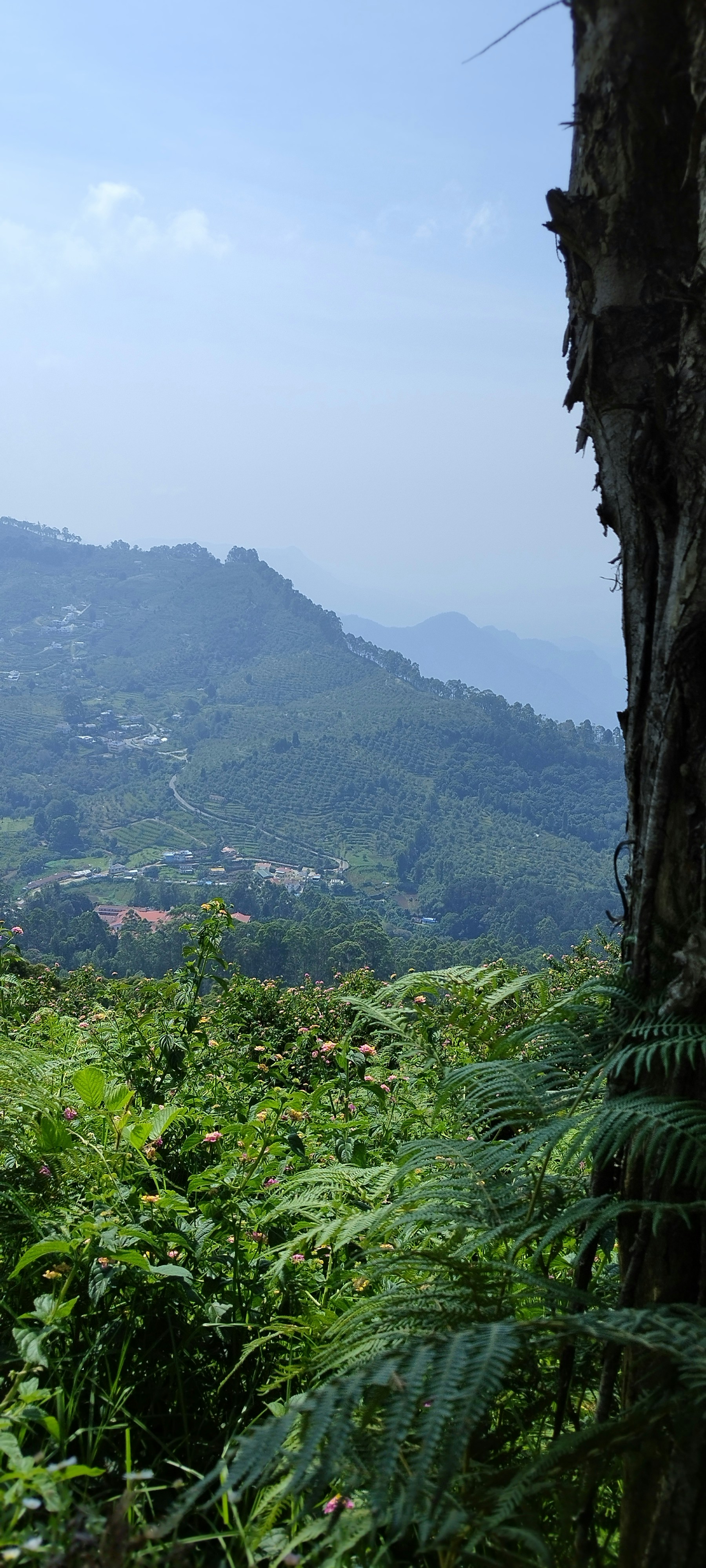 Photo by athishta_raj