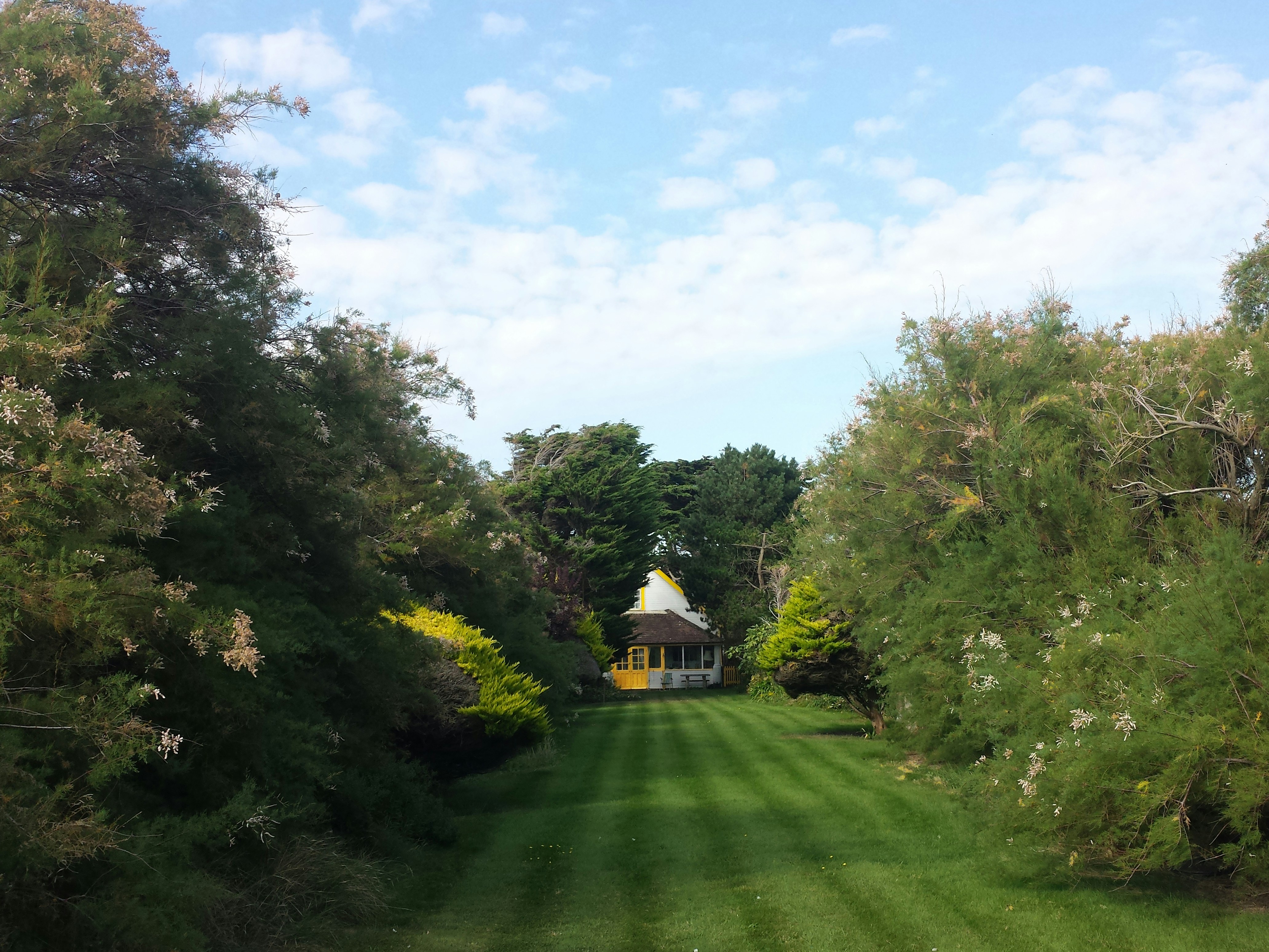 Paddy's Garden