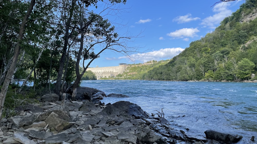 un cuerpo de agua rodeado de árboles y rocas