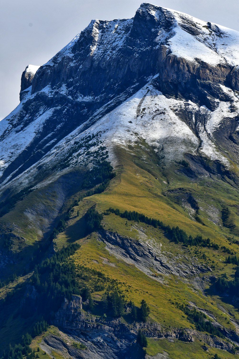 Ein Berg mit einem schneebedeckten Gipfel und einem Wald darunter