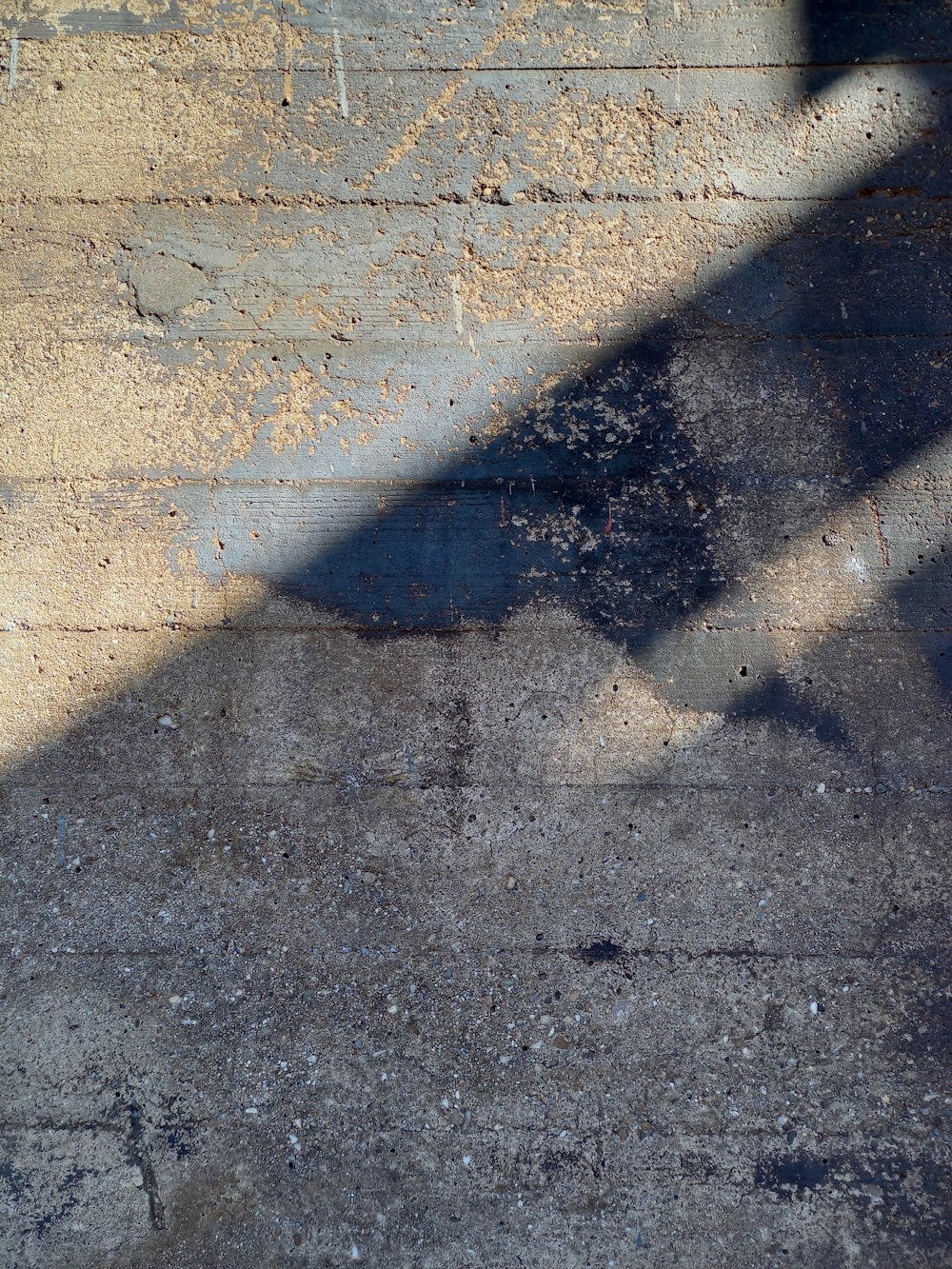 a shadow of a person on a skateboard