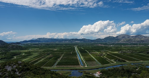 an aerial view of a field with a river running through it