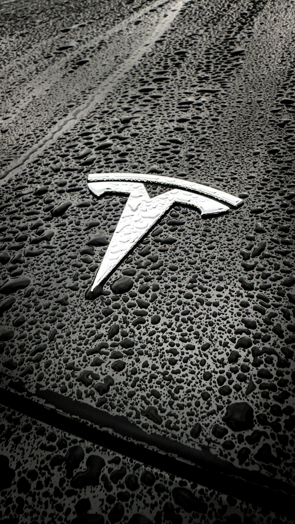 a black and white photo of a logo on the hood of a car