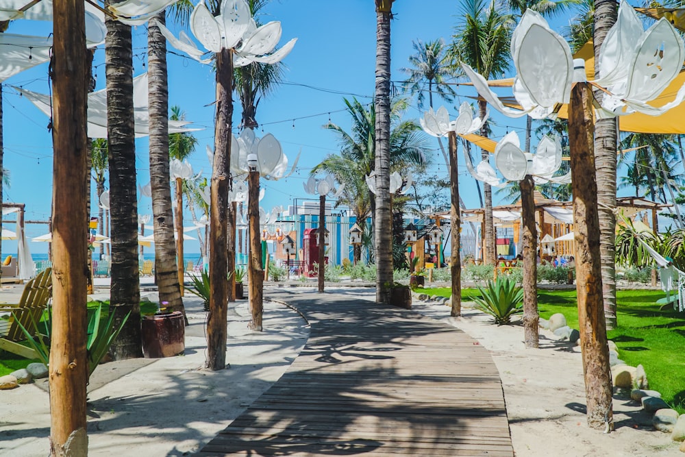 a walkway lined with palm trees next to the ocean