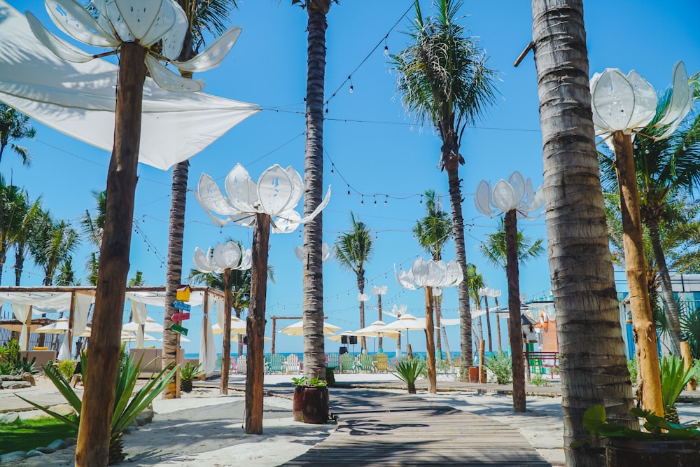 a walkway lined with palm trees next to the ocean