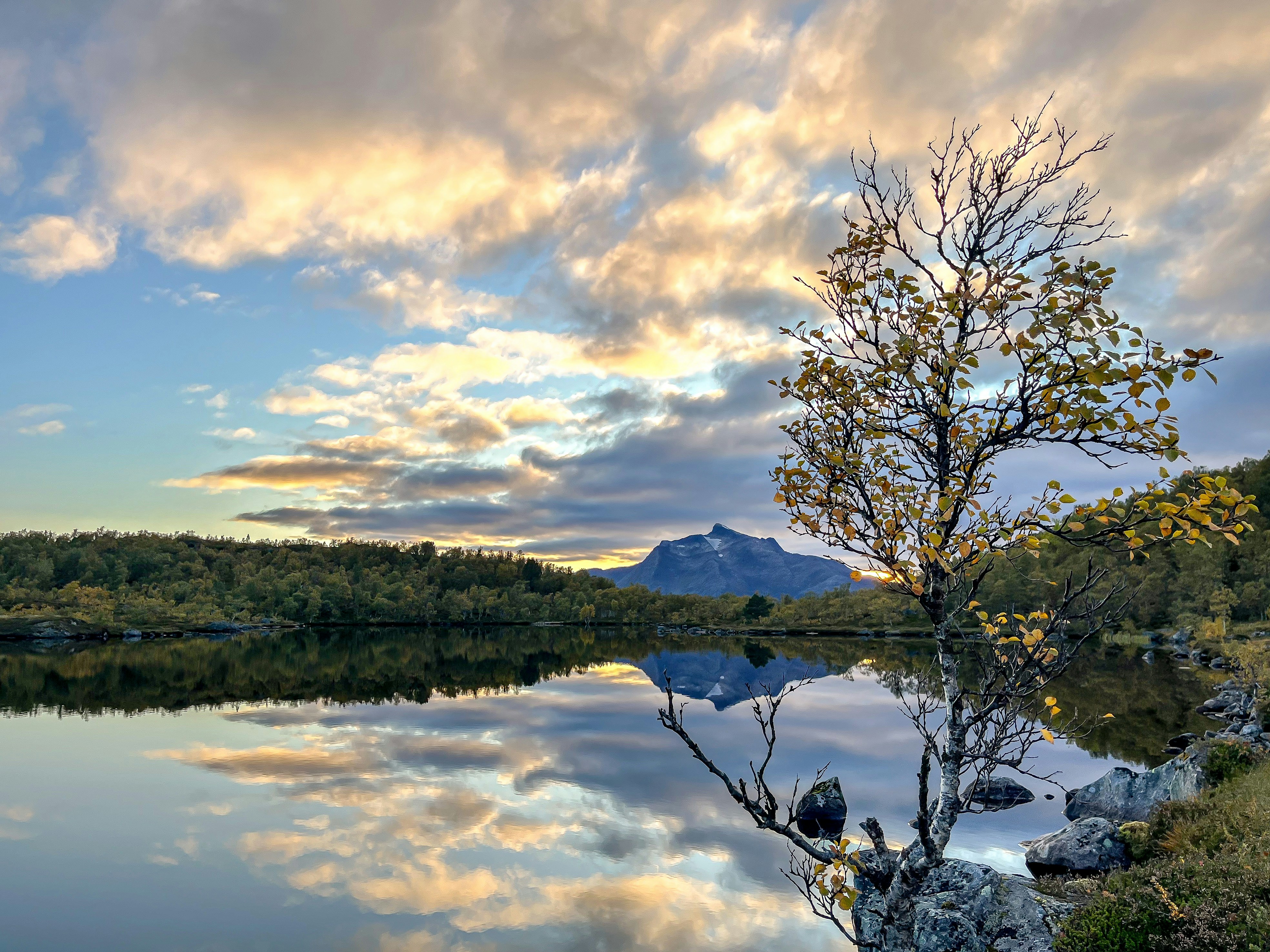 Photo by niklasjonasson