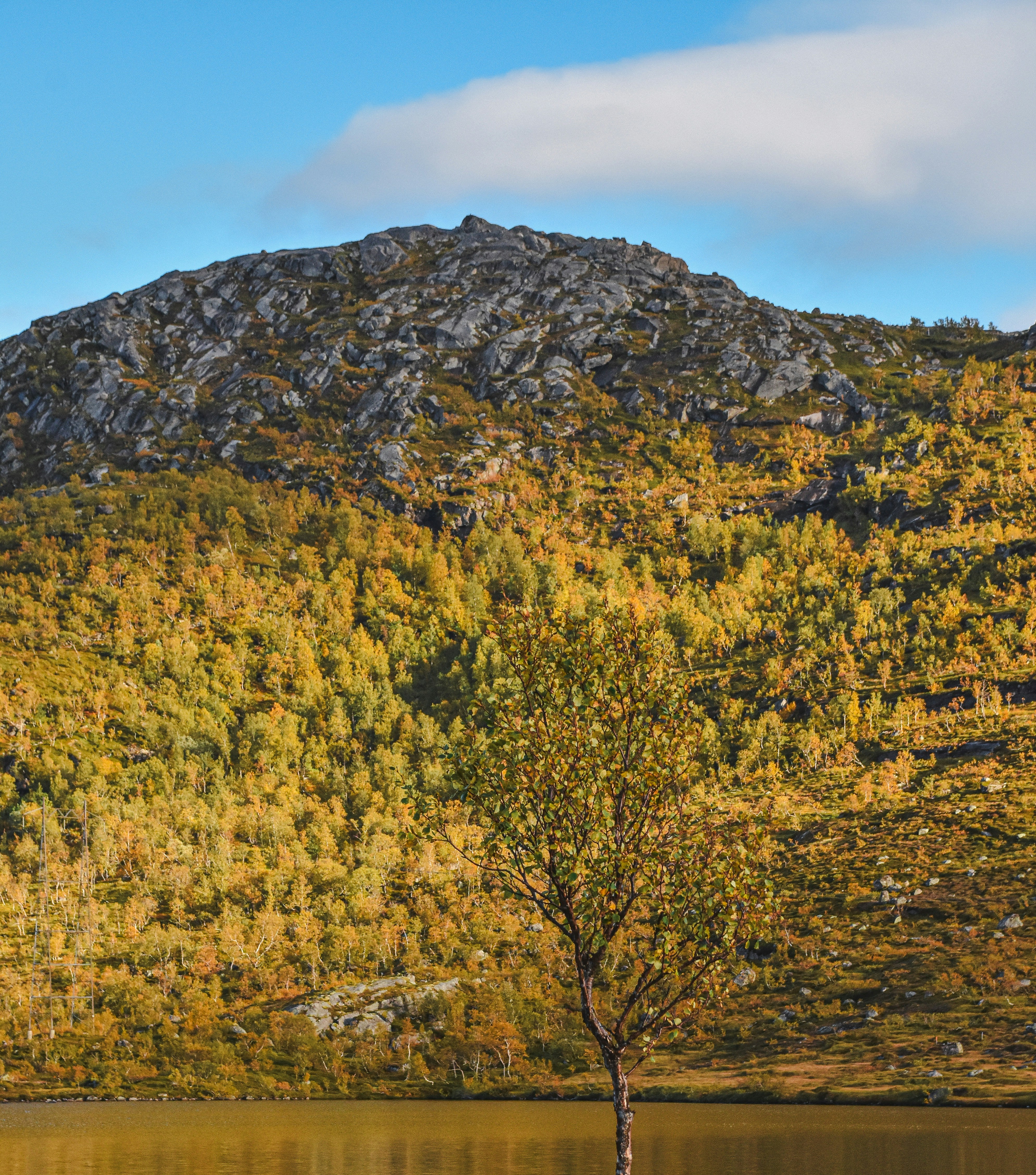 Photo by niklasjonasson