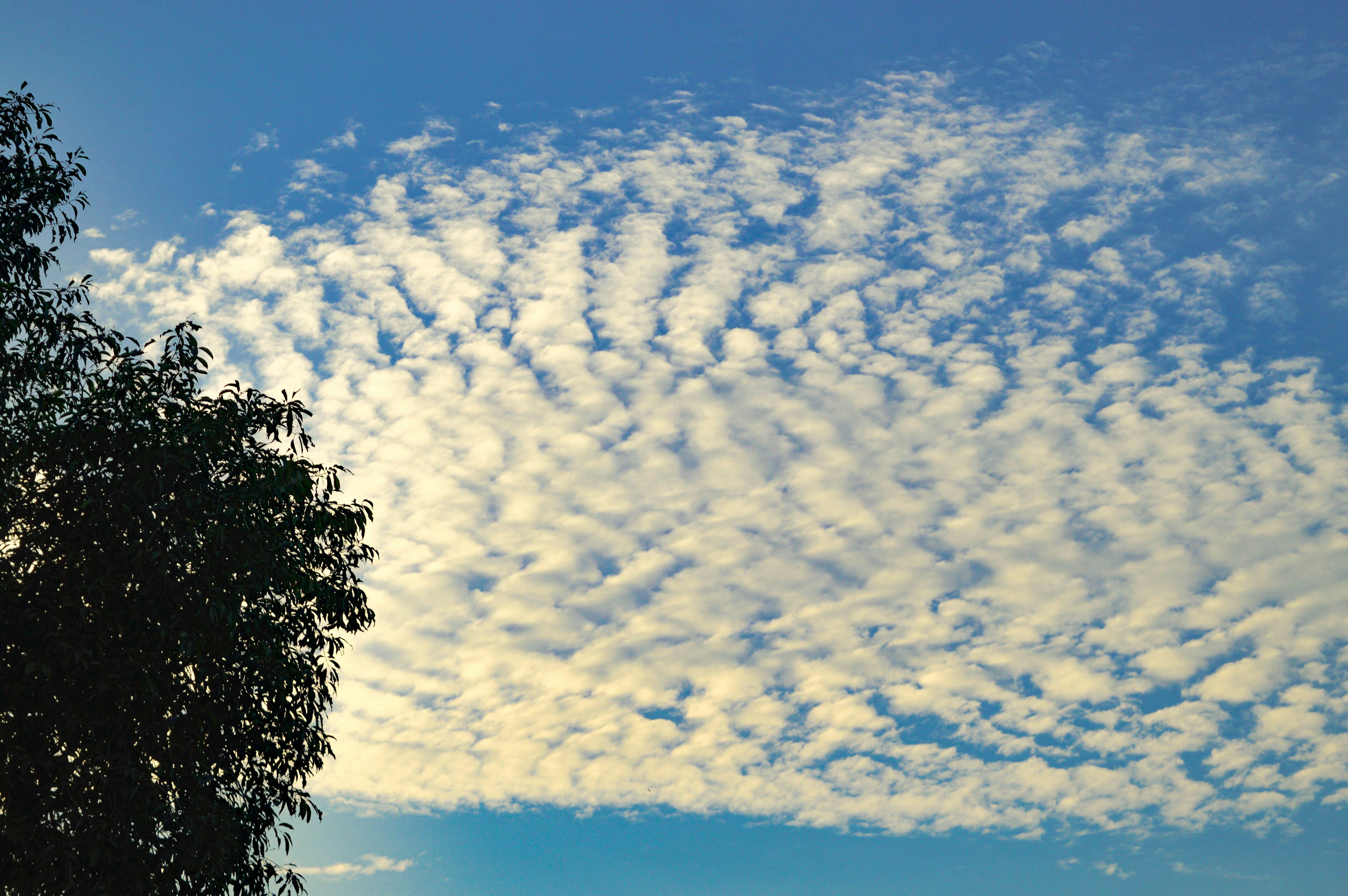 Photo by ahdusav