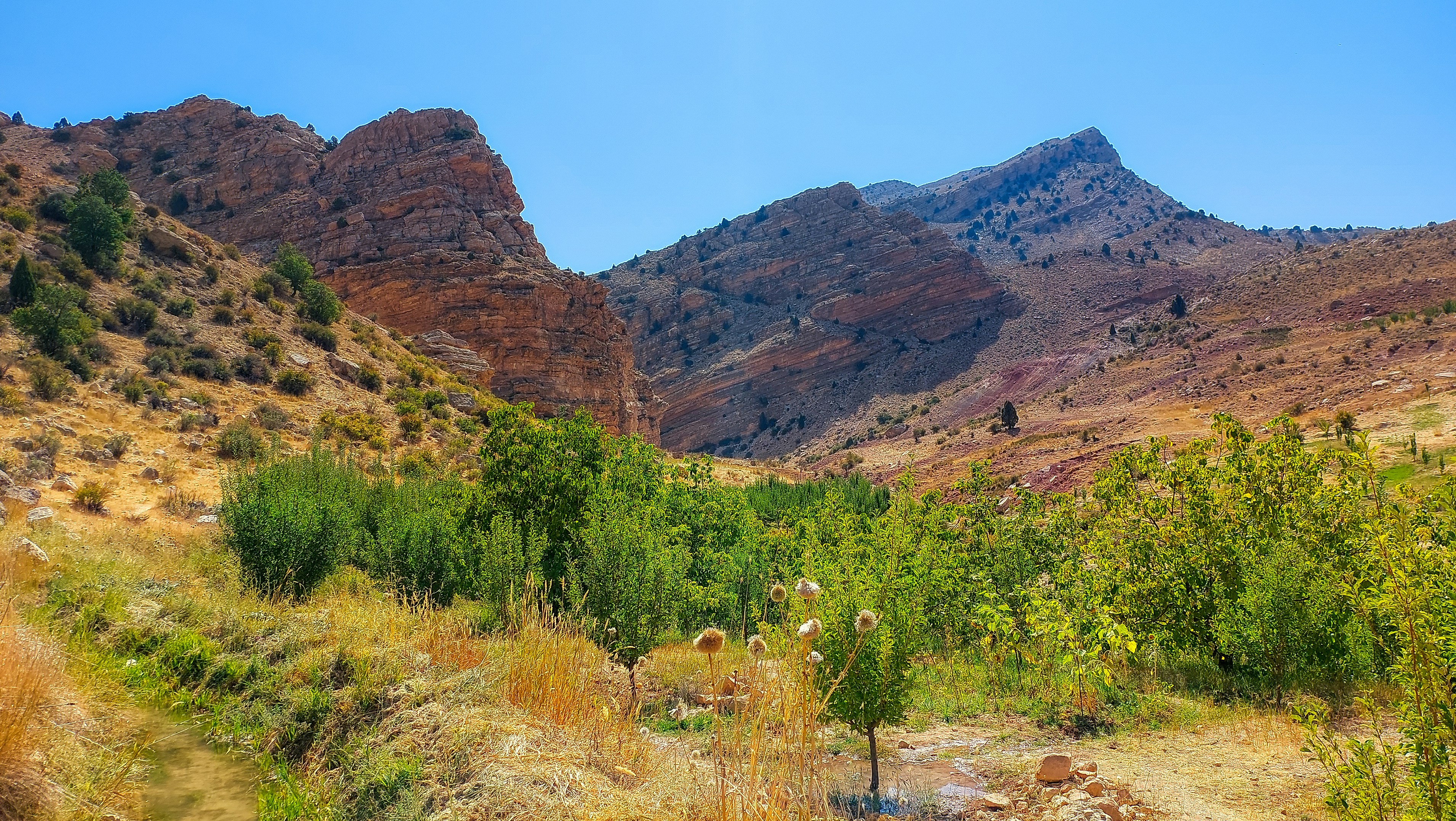 Photo by aliarjmandi