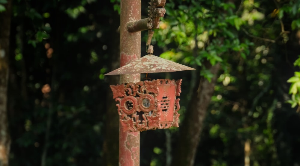 a bird feeder hanging from a tree in a forest