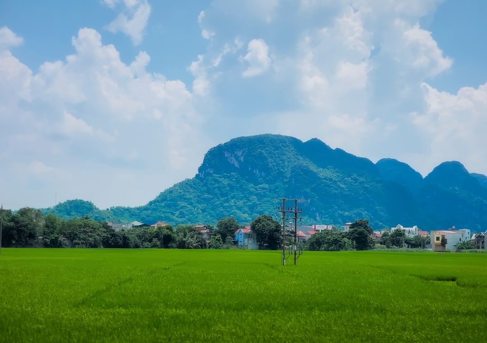 um campo verde com uma montanha ao fundo