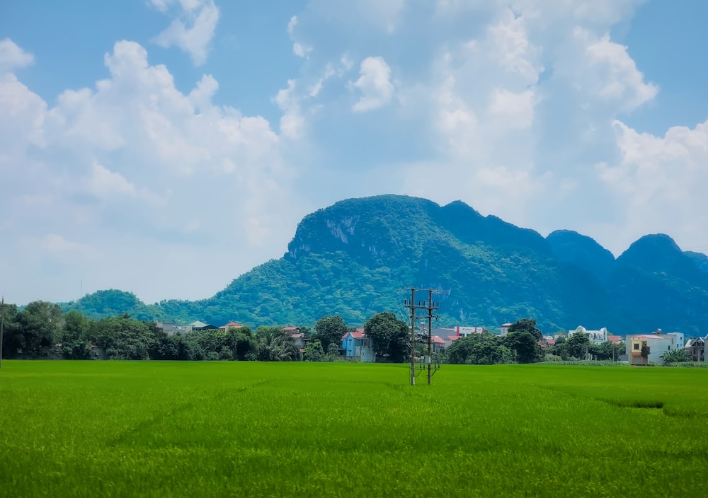 a green field with a mountain in the background