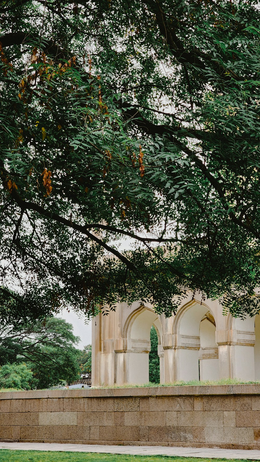 a stone wall and a tree in a park